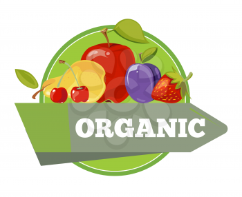 Natural organic fruits with green leaves logo, label, badge template. Vector illustration