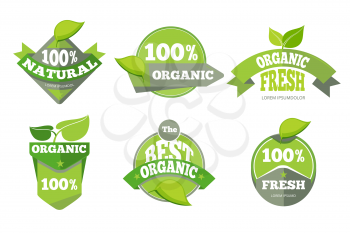 Natural green organic eco labels. Set of fresh badges. Vector illustration