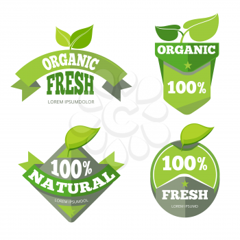 Natural green organic eco labels set. Bio sticker with leaf, vector illustration
