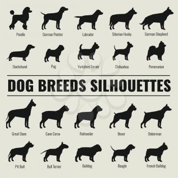 Dog breeds vector silhouettes set. Poodle and german shepherd, dachshund and pug illustration