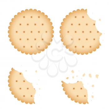 Bitten chip biscuit cookie, cracker vector set. Baked biscuit on white background, illustration of bitten biscuit