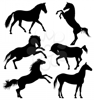 Dark wild horse, running horses vector silhouettes isolated on white background. Wild horse silhouettes, illustration of animal mammal speed horse
