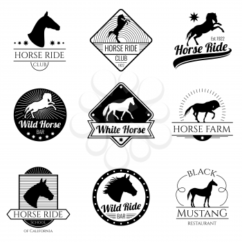 Racing horse, running mare vector vintage logos and labels set. Emblem with horse stallion, illustration of logo with mustang horse