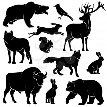 Vector forest animals for wood design. Zoology collection animal wild mammal, illustration of forest animal