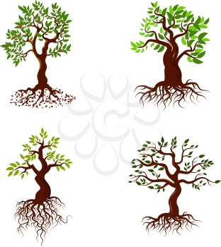 Trees with green leaves and roots vector tree planting collection. Nature green tree with root and leaf, illustration of set green tree