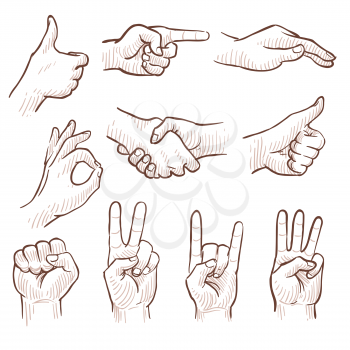 Hand drawing sketch man hands showing different gestures vector set. Sketch drawing hand gesture, illustration of hand gesture