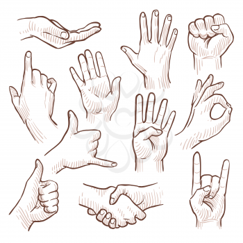 Line drawing doodle hands showing common signs vector collection. Gesture hand for communication, illustration of sketching hands