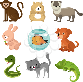 Cartoon cute home pets vector collection. Set of pets animal, illustration of cartoon pets lizard, rabbit and snake