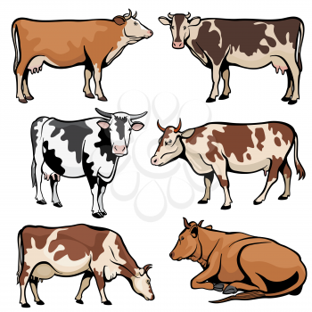 Farm cows, dairy cattle in cartoon vector style. Animal farm cartoon, cattle farming illustration