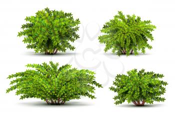 Shrubbery, 3d isometric bushes isolated on white vector set. Green shrubbery illustration