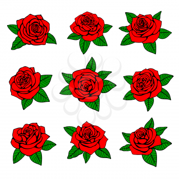 Red roses with green leaves vector design for tattoo. Nature red rose, with green leaf, illustration of rose tattoo