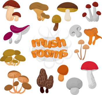 Forest summer and autumn cartoon edible mushrooms vector set. Mushroom food illustration collection