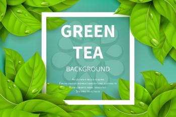 Green tea leaves vector nature background. Green tea background with leaf natural illustration