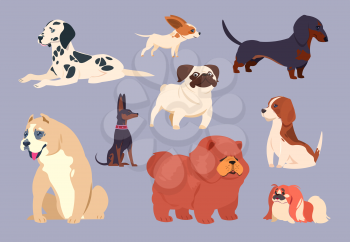 Cartoon dogs. Puppy pet different breeds. Chow chow, dachshund and dalmatian, pit bull and pekingese, pug and beagle vector collection. Animal dog pet breed, puppy pekingese illustration
