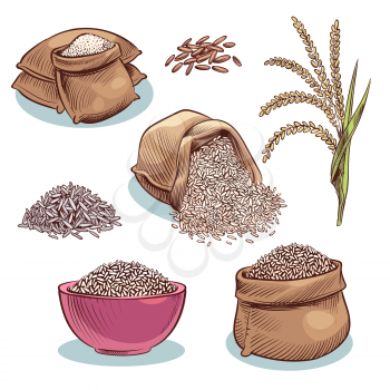 Rice sacks. Bowl with rice grains and ears. Japanese food, rice storage cartoon vector set. Illustration of grain rice seed in sack