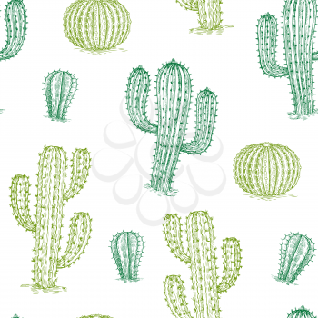 Seamless pattern with cactus. Hand drawn desert plants cactuses repeat vector texture. Illustration of cactus desert, plant summer background illustration