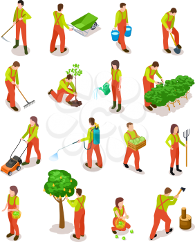 Isometric gardeners. Farmers work in garden. People in farming rural scene with trees and plants. 3d vector characters isolated. Illustration of plant isometric, work and farming
