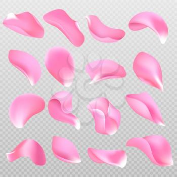 Scattered 3d pink rose petals isolated vector collection. Rose pink flower petal illustration