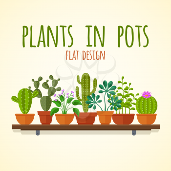 Flat cactuses and home plantas vector concept. Plant cactus in pot, nature interior flower illustration