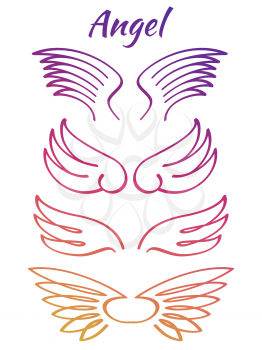 Colorful elegant angel flying wings collection. Color line wings. Vector illustration