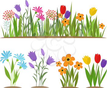 Early spring forest and garden flowers isolated on white vector set. Illustration of nature flower spring and summer in garden