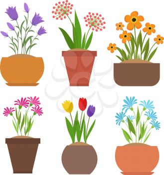Garden spring flowers in flower pots vector set. Plant and flower garden, floral gardening and blossom flowerpot illustration