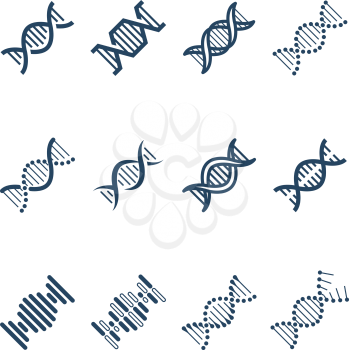 Dna spiral molecule structure vector icons. Genetics research and chromosome engineering symbols. Structure chromosome dna and genetic molecule illustration
