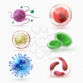 Closeup microscopic body virus cells and bacteria isolated vector set. Bacterium microorganism, bacteria and health microbe illustration