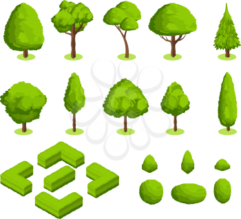 Isometric 3d vector park and garden trees and bushes. Green forest plants collection. Green tree and bush environment illustration