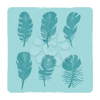Grunge hand drawn birds feathers collection in frame. Vector illustration