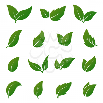 Green leaf vector icons. Spring leaves ecology symbols. Green leaf and spring nature organic illustration