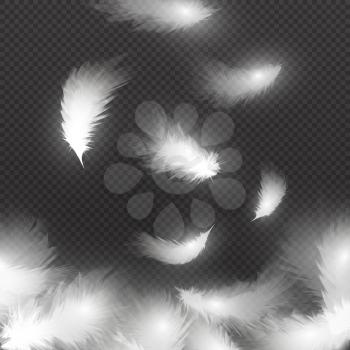 Falling white fluffy feathers on air isolated on black background. Easy symbol concept vector illustration. Feather falling and realistic smooth plume flying