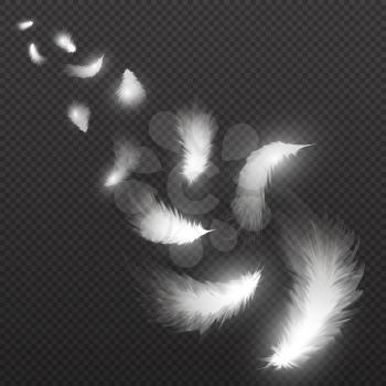 Flying light swan feathers plume on black background vector illustration. White feather falling, fly fluffy plume