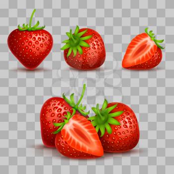 Vector realistic sweet and fresh strawberry isolated on transparent background. Sweet strawberry fruit, illustration of fresh juicy dessert