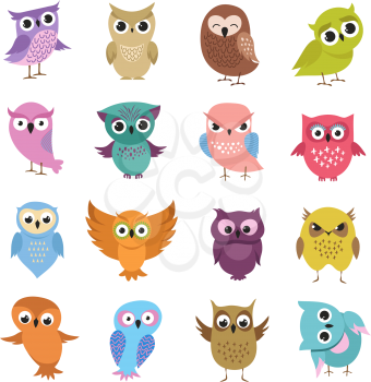 Cute cartoon owls. Funny forest birds vector collection. Owl cartoon set, forest bird character illustration