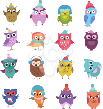 Funny winter owls birds cartoon vector characters. Color owl bird in winter hat and scarf, group of owlet illustration