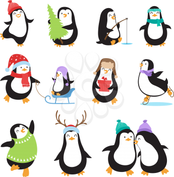 Cute cartoon penguins. Winter holidays vector animals set. Penguin character and xmas mascot bird illustration