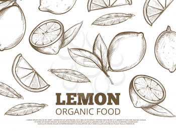 Organic food banner poster with hand drawn lemons. Vector illustration
