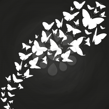 White butterflies silhouettes on chalkboard. Drawing white on blackboard, vector illustration