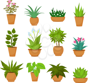 Indoor and outdoor landscape garden potted plants isolated on white. Vector set green plant in pot, illustration of flowerpot bloom