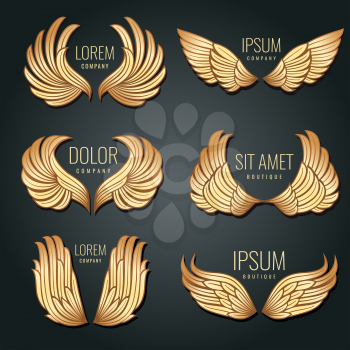 Golden wing logo vector set. Angels and bird elite gold labels for corporate identity design. Angel and eagle flight wings badge illustration