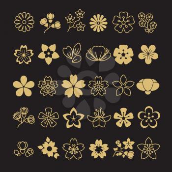 Big set of golden blossom flowers, leaves and branches. Vector illustration