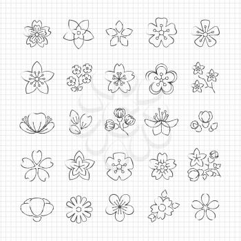 Pencil drawing blossom flowers line icons of set. Vector illustration