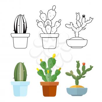 Cartoon colored and hand drawn outline cactus set icons. Vector illustration