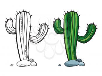 Hand drawn cactus silhouette - dessert flower coloring page with sample. Vector illustration