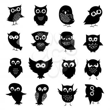 Black and white owl silhouettes set. Owl bird animal, black white owlet illustration
