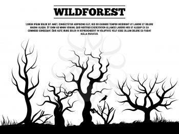 Black wild old forest landscape background banner and poster. Vector illustration