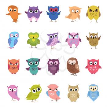 Cartoon cute owls set. Funny and angry colored birds big collection. Vector illustration