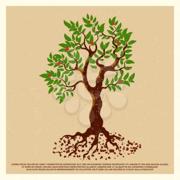 Vintage grunge poster with blossom fruit tree isolated on background. Vector illustration