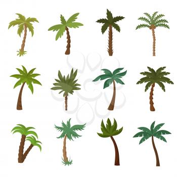 California palm trees. Summer tropical plant vector set. Green palm tropical exotic illustration of collection